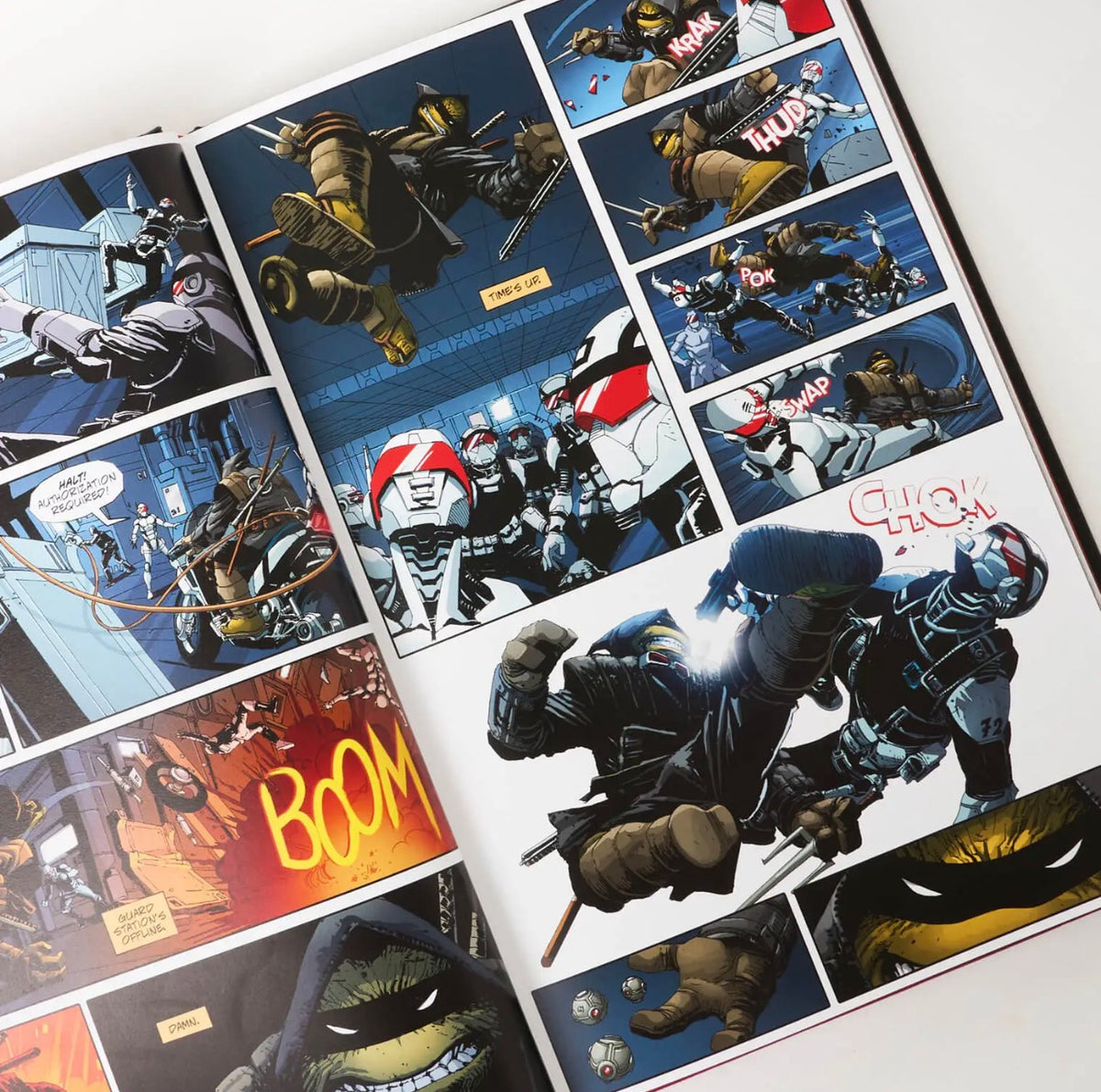 Teenage Mutant Ninja Turtles: Who Is The Last Ronin