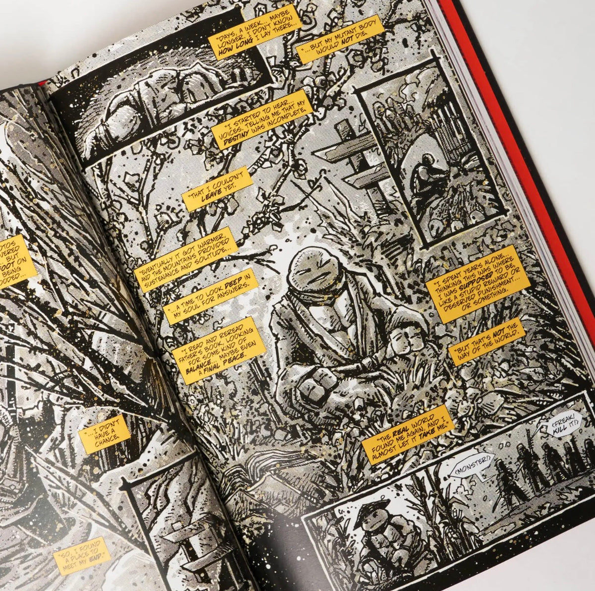 Teenage Mutant Ninja Turtles: Who Is The Last Ronin